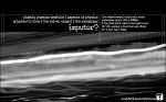imputorshow0401-back.jpg