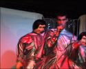 pleaseeasaur-sd.jpg