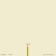 Another Electronic Musician / The Snodgrass : Dedicated To - Split 7" : Back