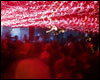 Crowd